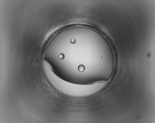 X0000112791312200909111202