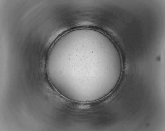 X0000112791313200909111202