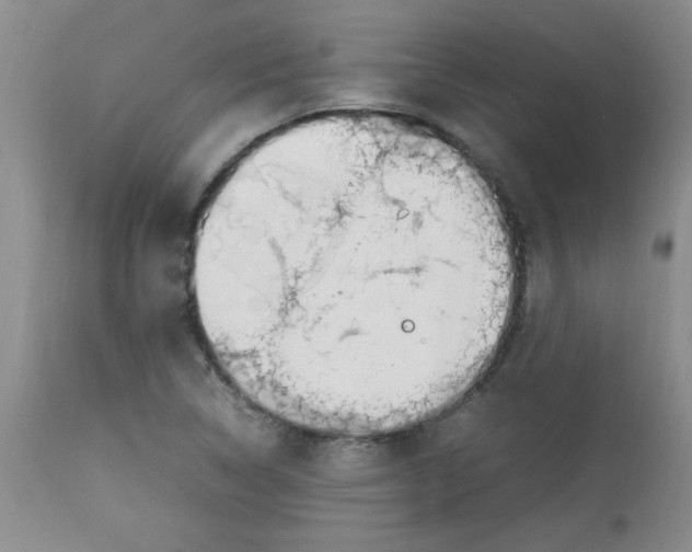 X0000112791314200909111202