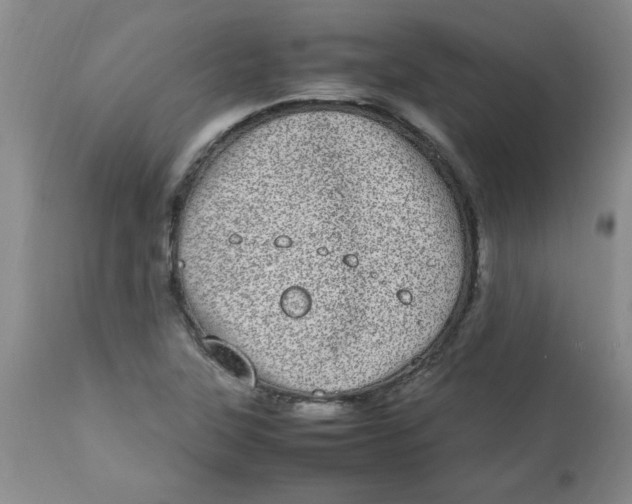 X0000112791315200909111202