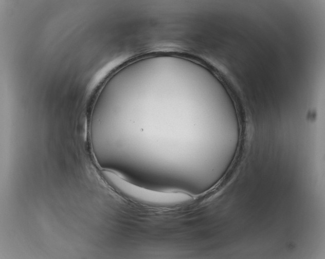 X0000112791317200909111202