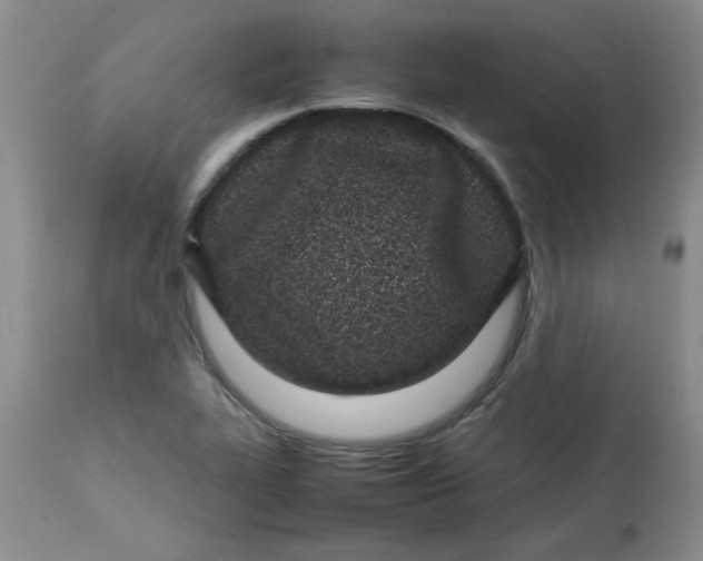 X0000112791319200909111202