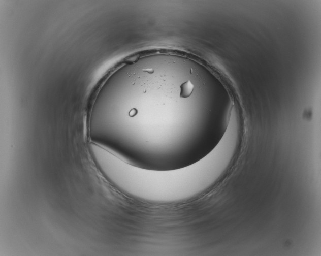 X0000112791320200909111202