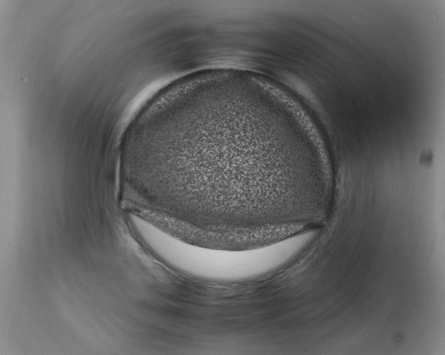 X0000112791323200909111202