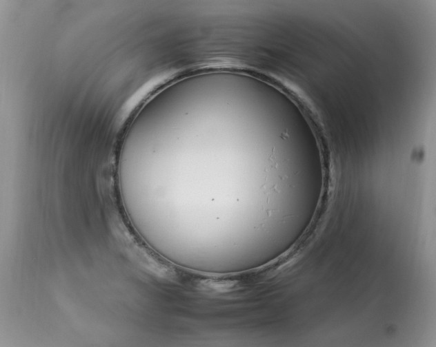 X0000112791325200909111202