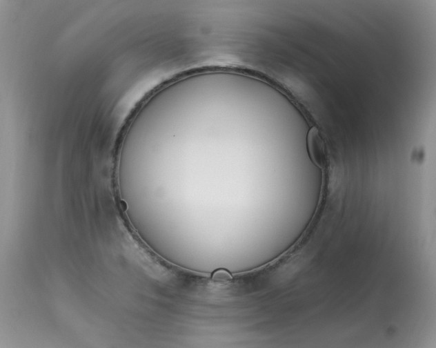 X0000112791326200909111202