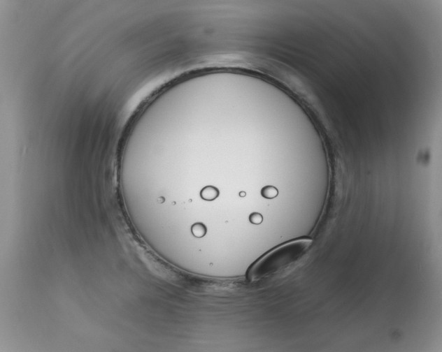 X0000112791328200909111202