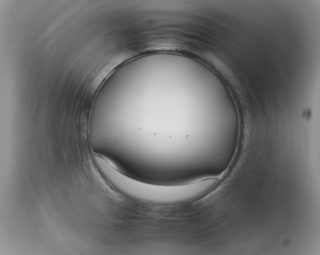 X0000112791329200909111202