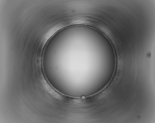 X0000112791330200909111202