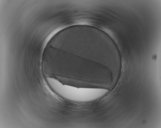 X0000112791331200909111202