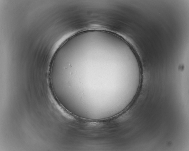 X0000112791333200909111202