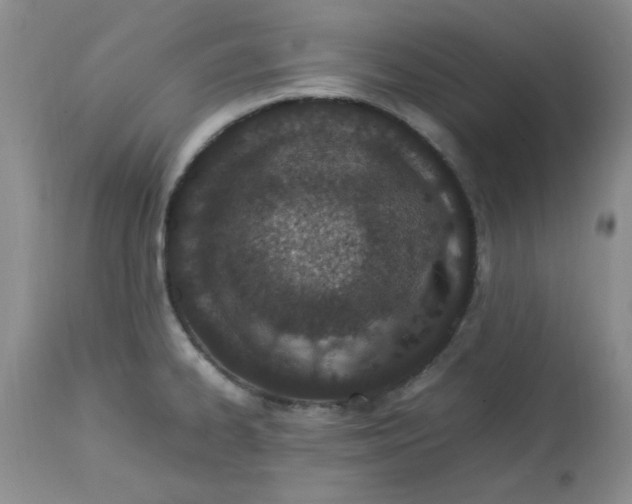 X0000112791334200909111202