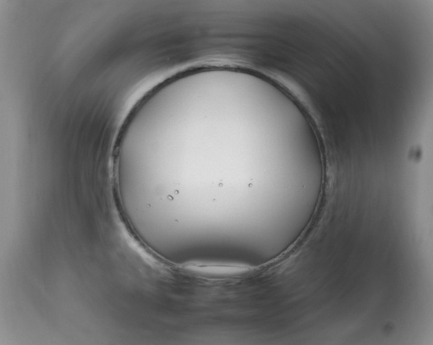 X0000112791335200909111202