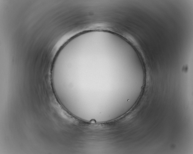 X0000112791336200909111202