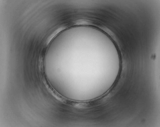 X0000112791337200909111202