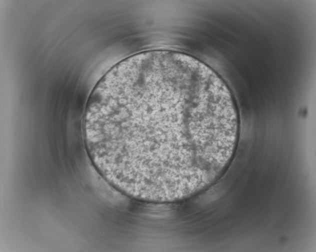 X0000112791338200909111202