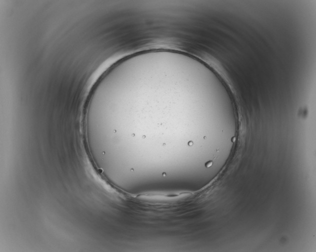 X0000112791339200909111203