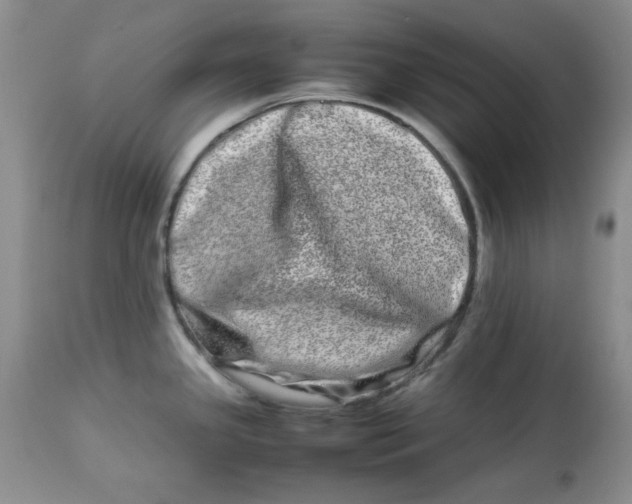 X0000112791341200909111203