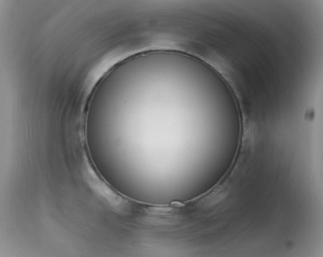 X0000112791342200909111203