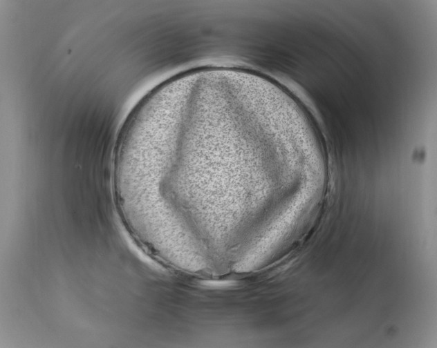 X0000112791343200909111203