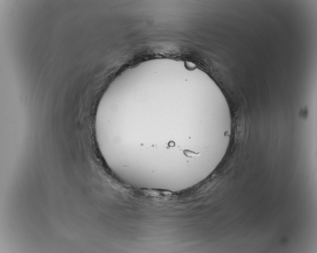 X0000112791345200909111202