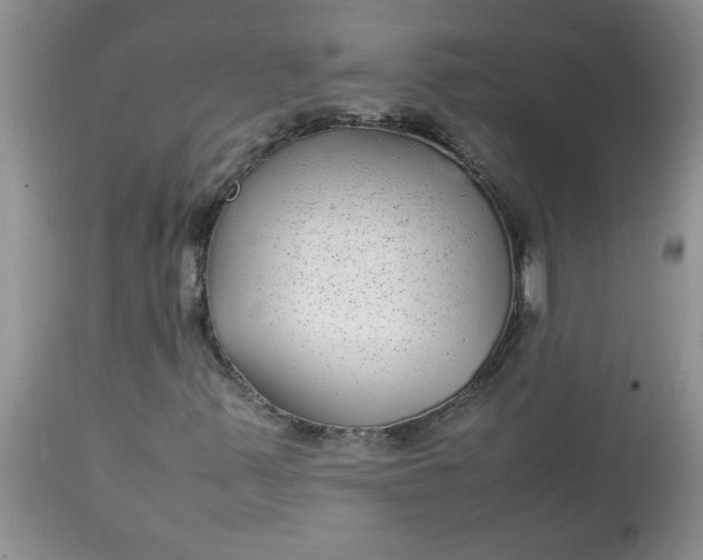 X0000112791347200909111202