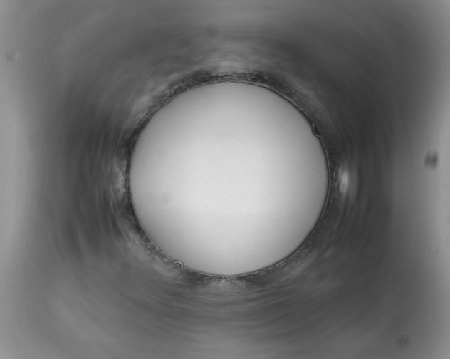 X0000112791348200909111202