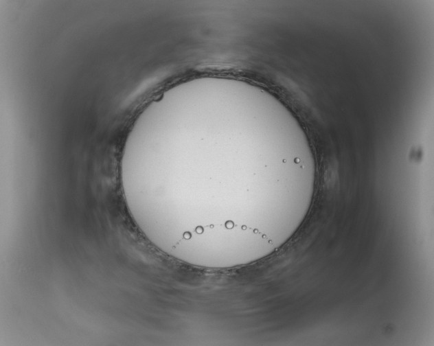 X0000112791350200909111202