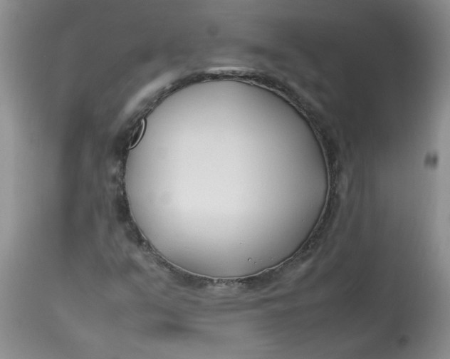 X0000112791351200909111202