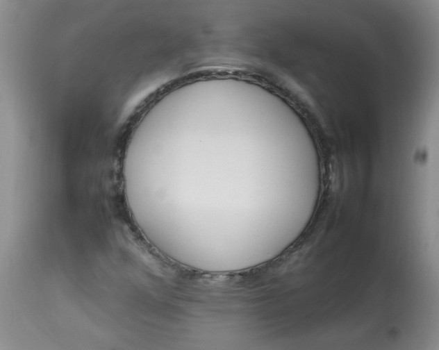 X0000112791352200909111202