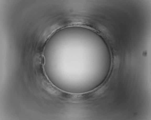 X0000112791353200909111202