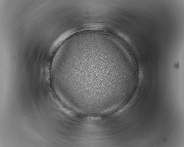 X0000112791354200909111202