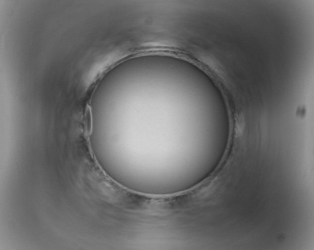 X0000112791357200909111202