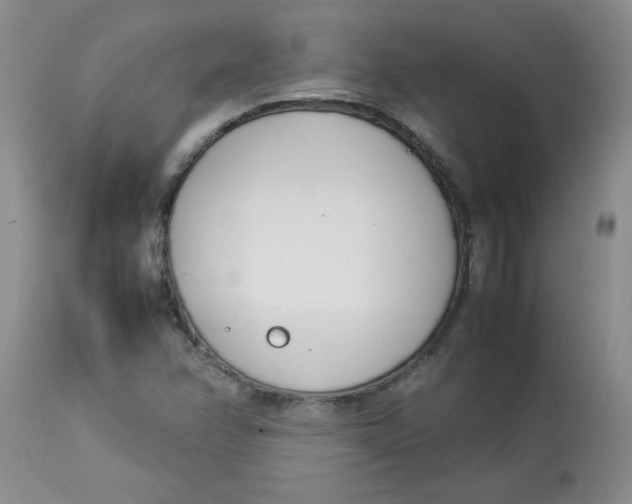 X0000112791358200909111202