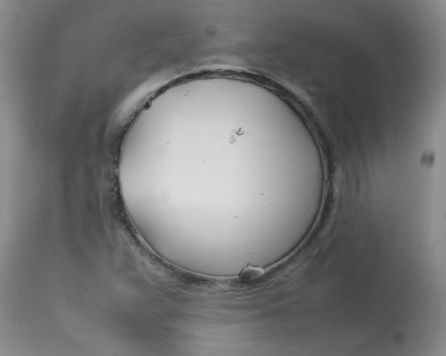 X0000112791359200909111202