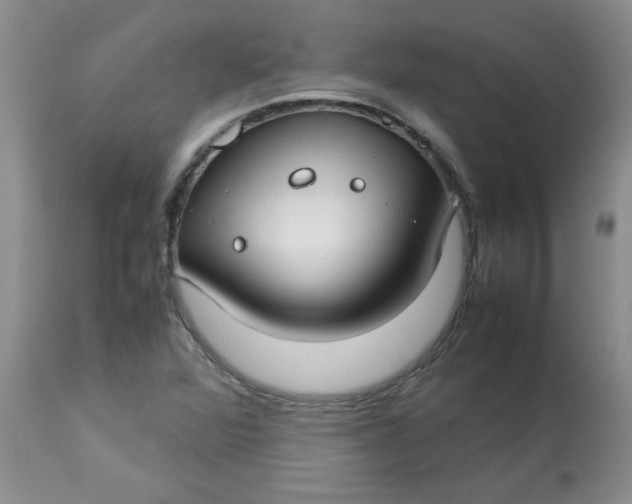 X0000112791360200909111202