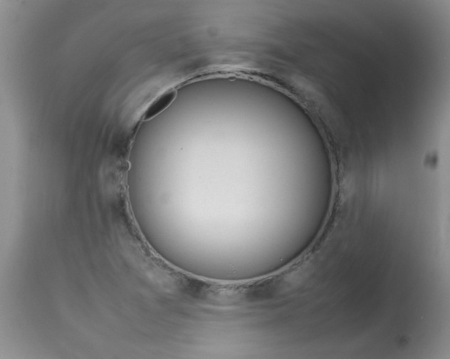 X0000112791361200909111202