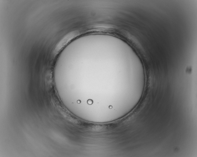 X0000112791362200909111202