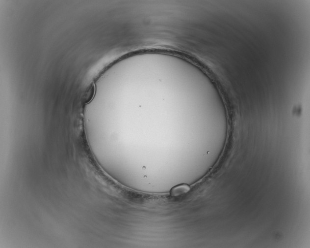 X0000112791363200909111202