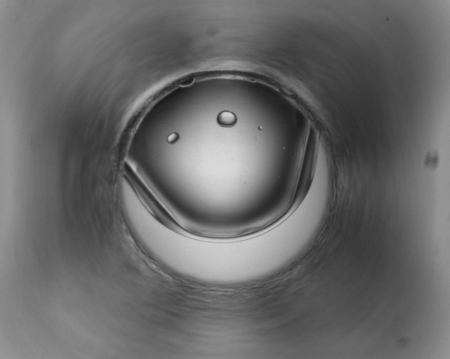 X0000112791364200909111202