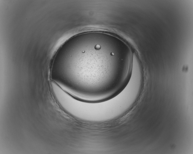 X0000112791365200909111202