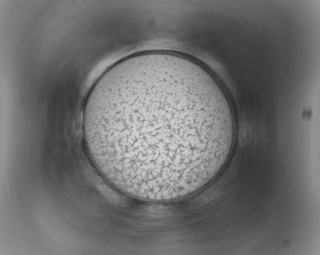 X0000112791366200909111202