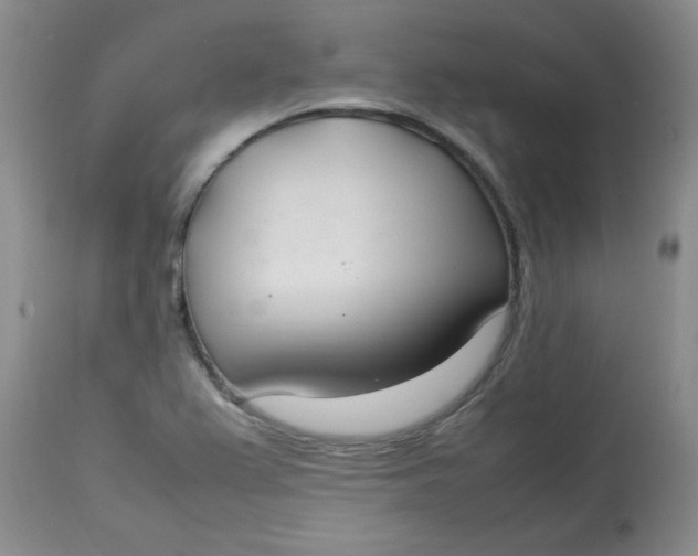 X0000112791367200909111202