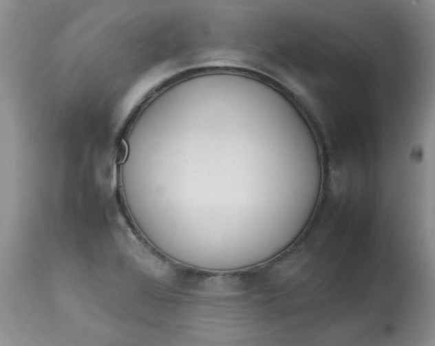 X0000112791368200909111201