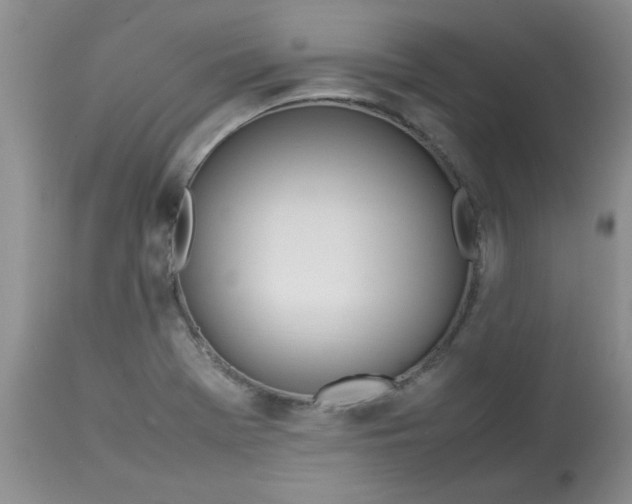 X0000112791369200909111201