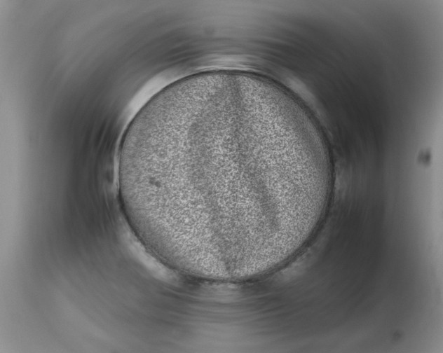 X0000112791370200909111201