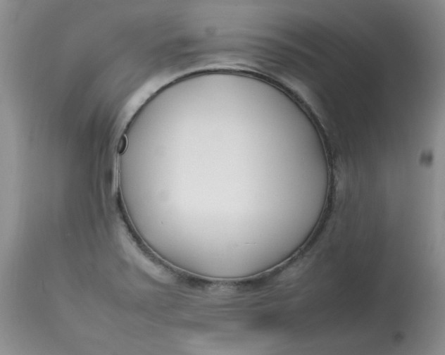 X0000112791371200909111201