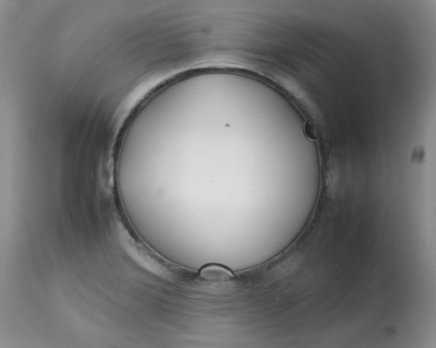 X0000112791372200909111201