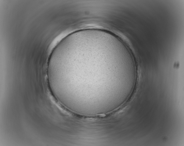 X0000112791373200909111201