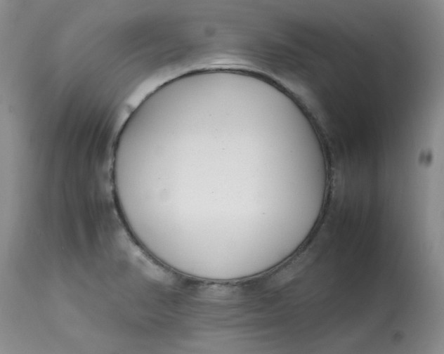 X0000112791374200909111201